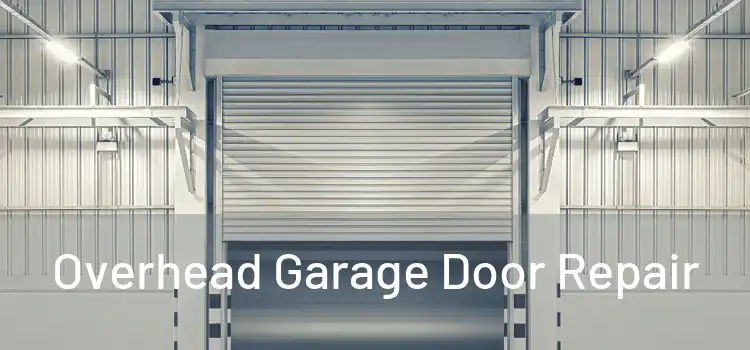  Overhead Garage Door Repair 
